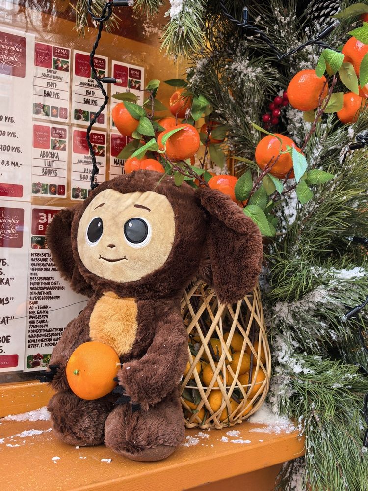 Фотография автора Елена Охапкина