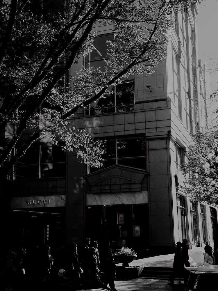 Фотография автора Алла Киселева