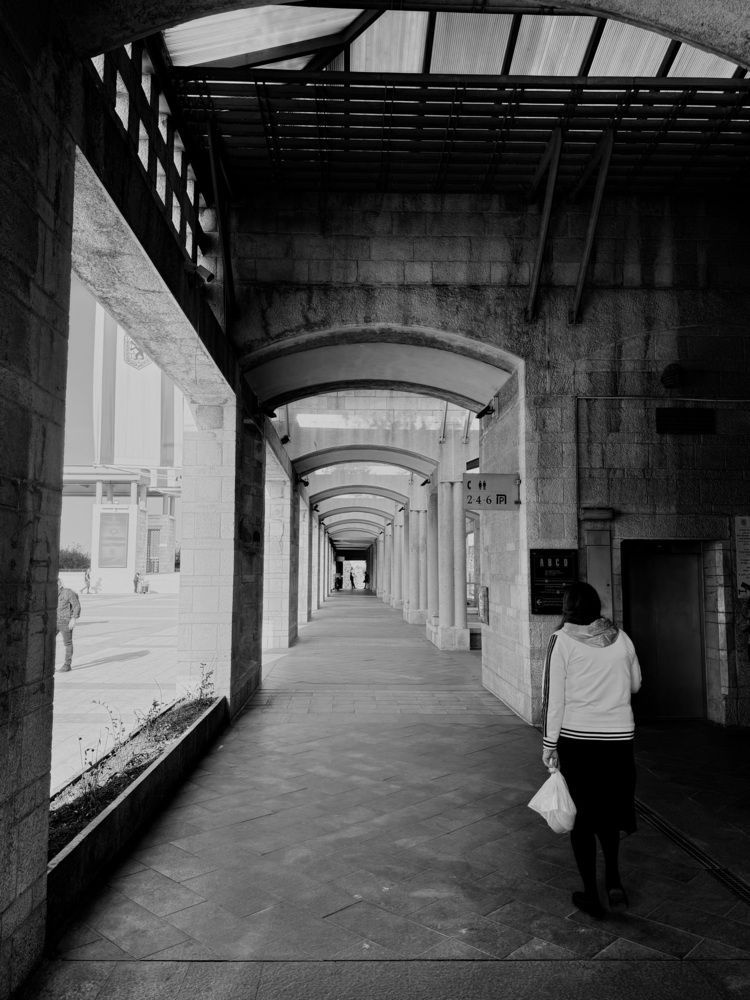 Фотография автора Алла Киселева