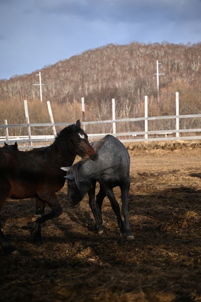 Фотография автора Алена Чалышева