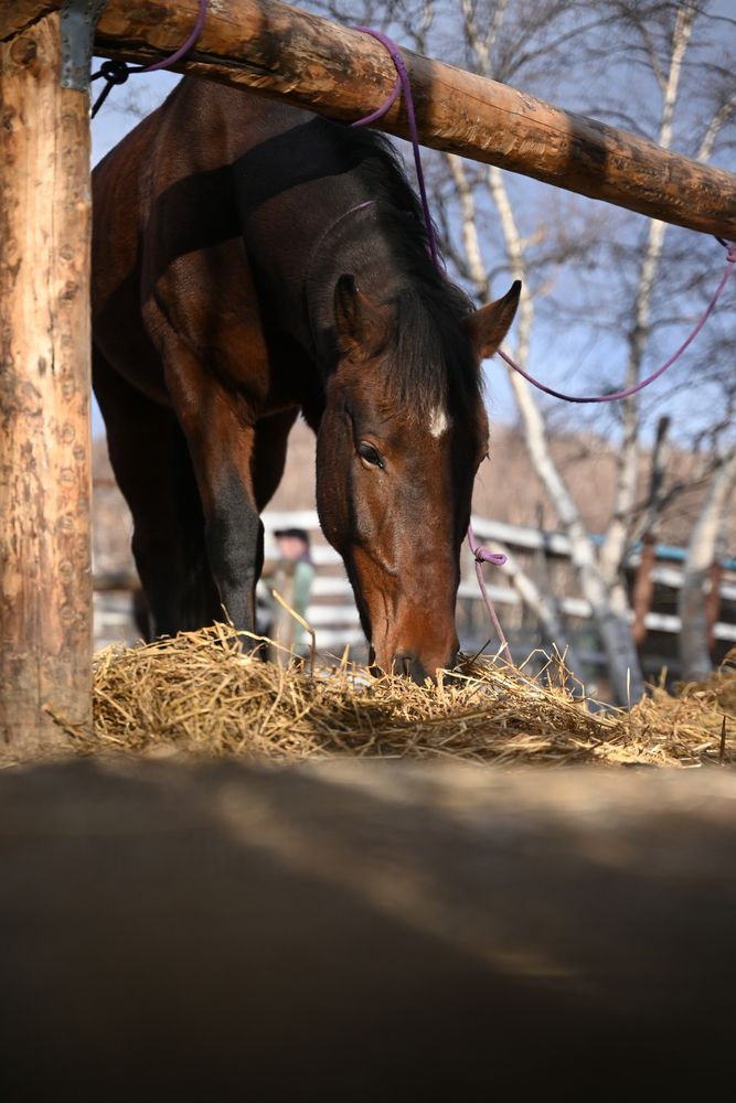 Фотография автора Алена Чалышева