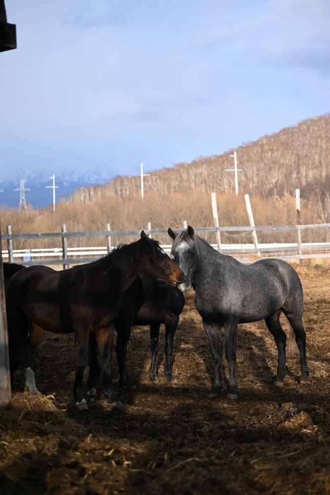 Фотография автора Алена Чалышева