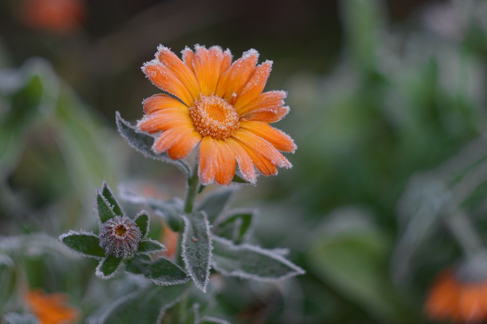 Photograph by Евгения Россоловская