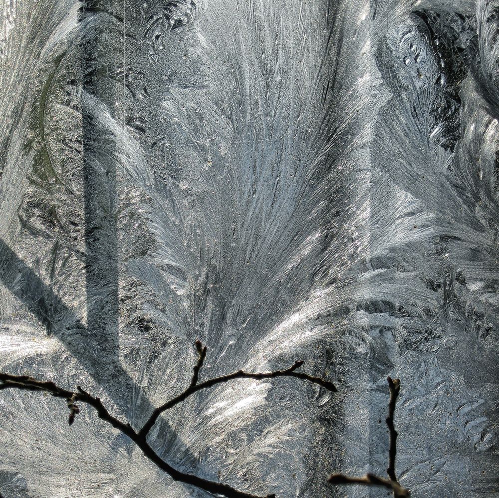 Фотография автора Milena Ivanova