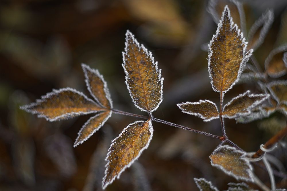 Photograph by Евгения Россоловская
