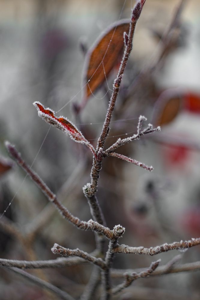 Photograph by Евгения Россоловская