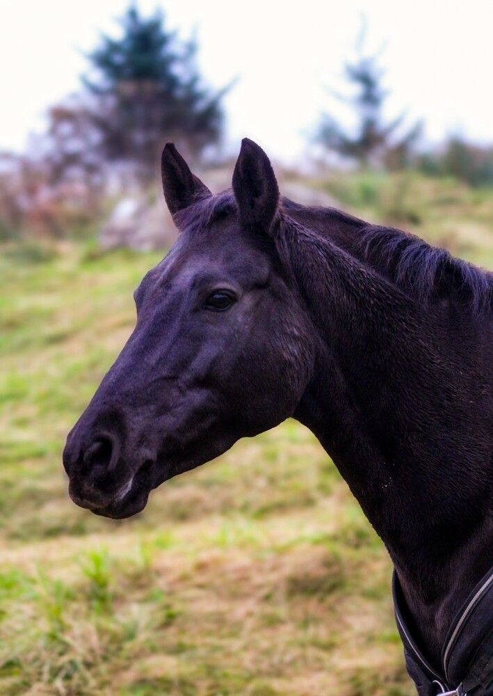 Photograph by Sarah guthrie