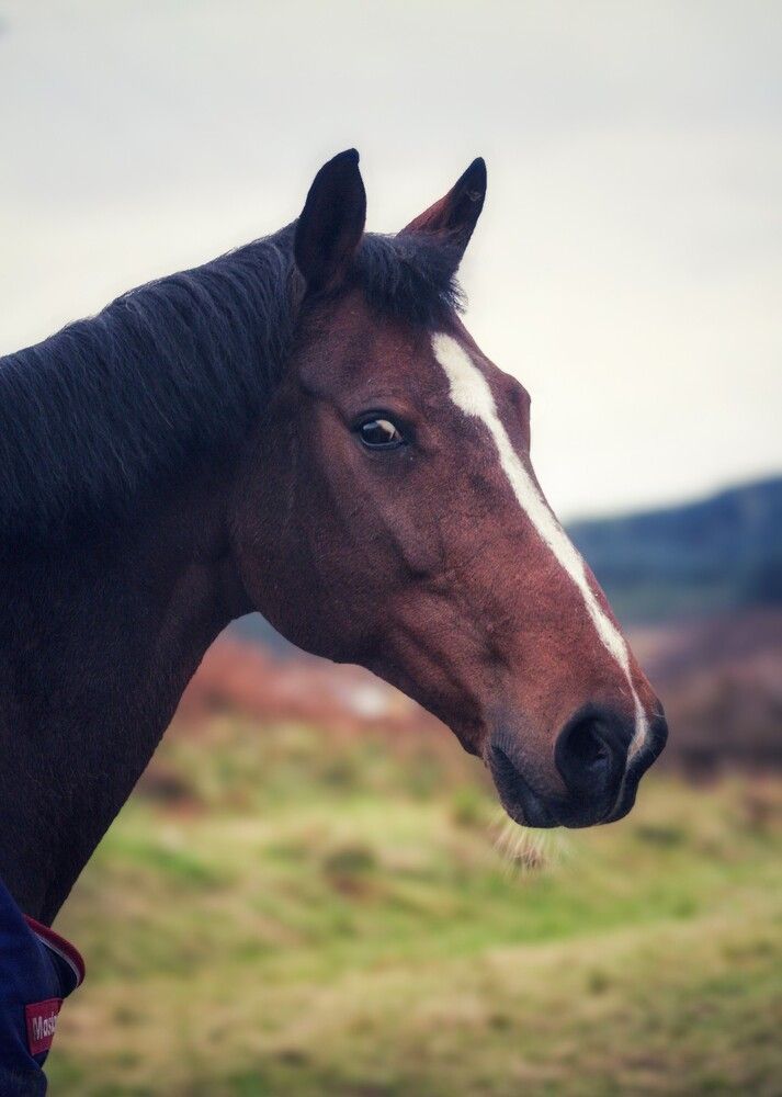 Photograph by Sarah guthrie