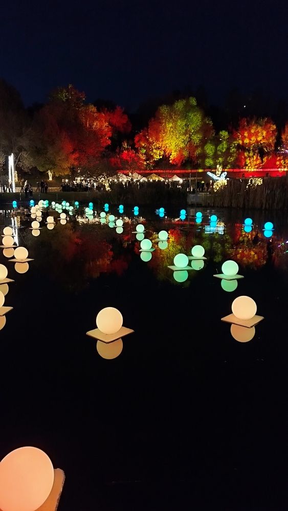 Фотография автора Ella