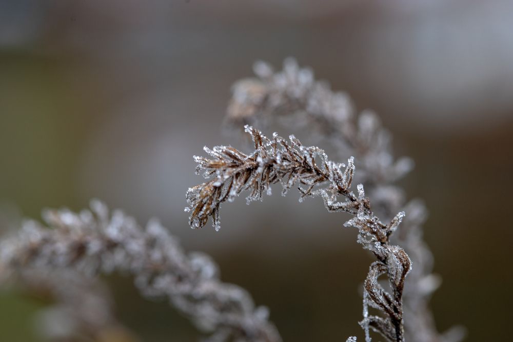 Фотография автора Uljana Kuchar