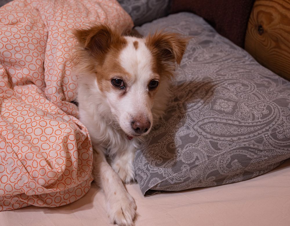 Photograph by Анна Архангельская