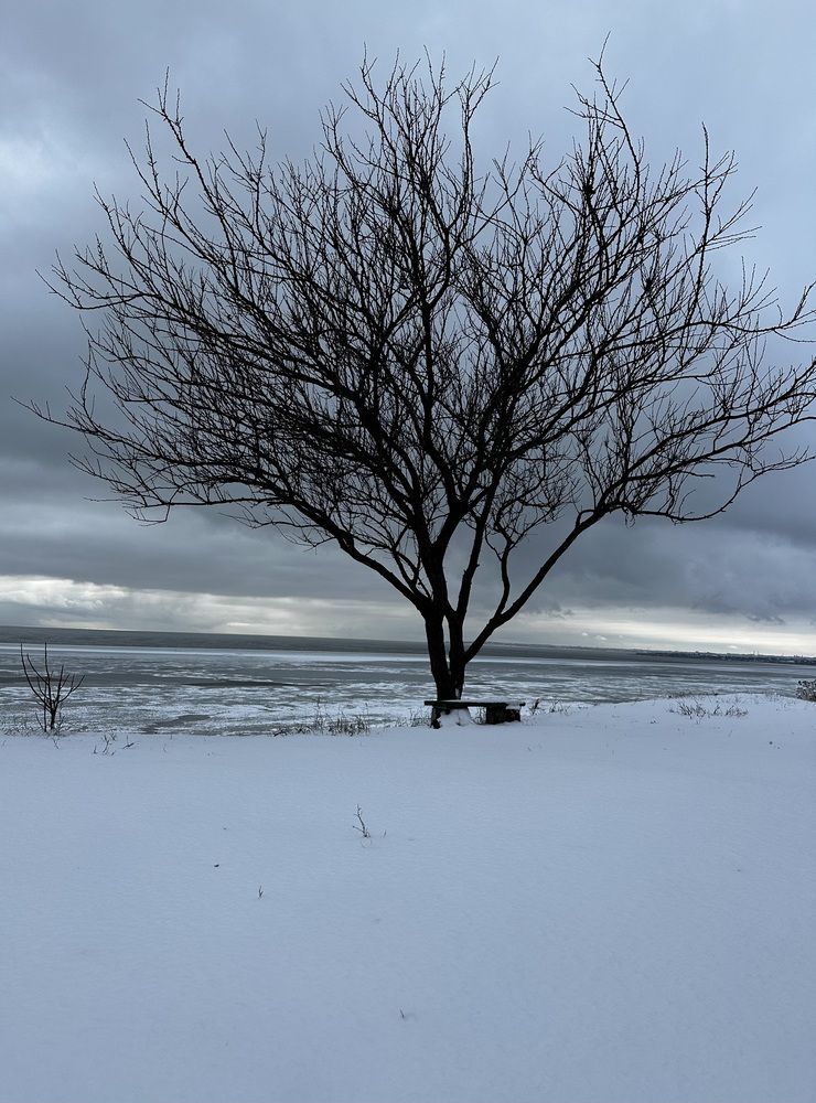 Photograph by Юлия