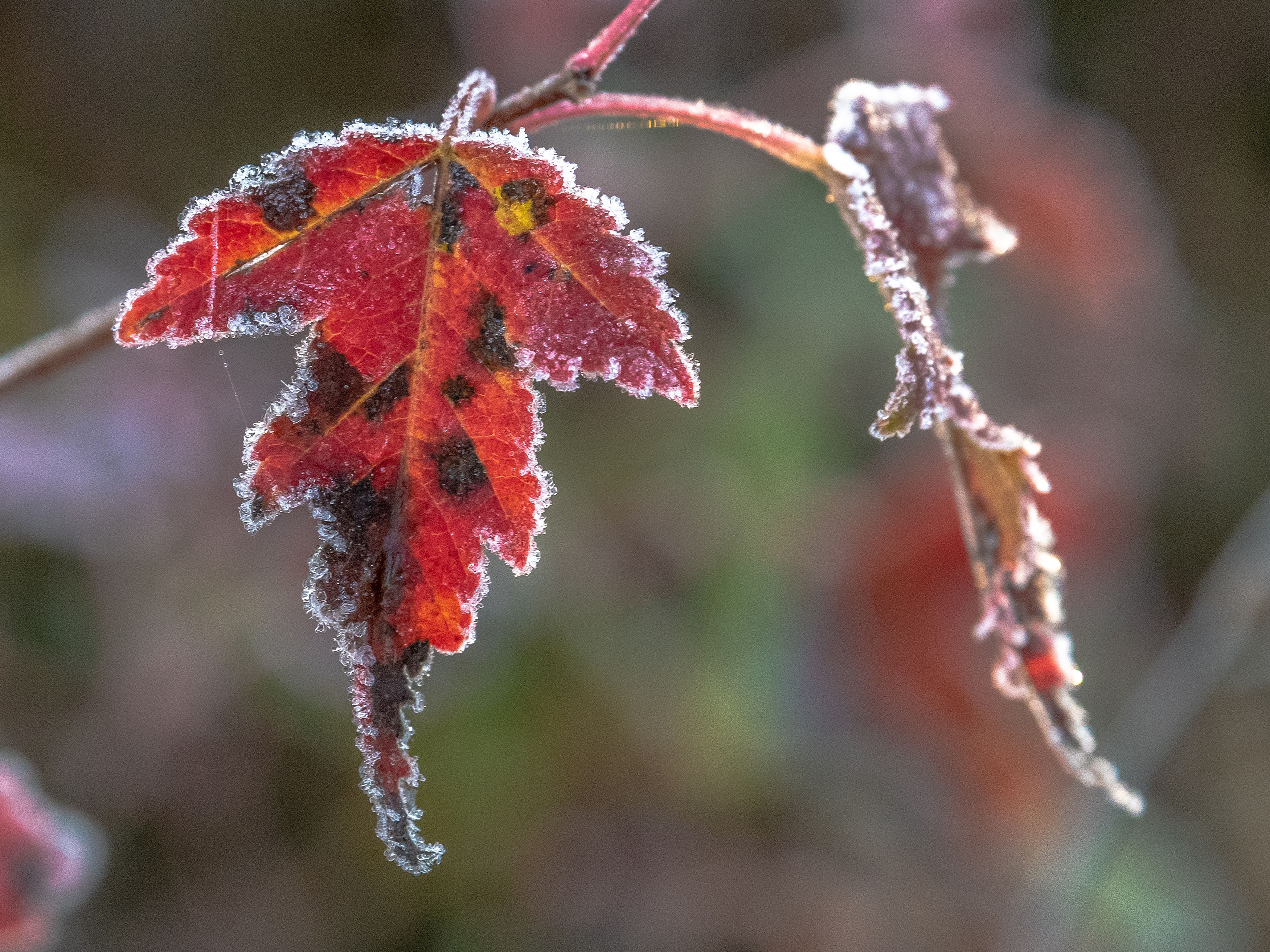 Photograph by Константин Тучин