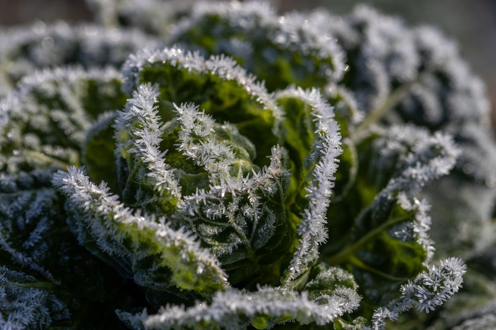 Фотография автора Uljana Kuchar