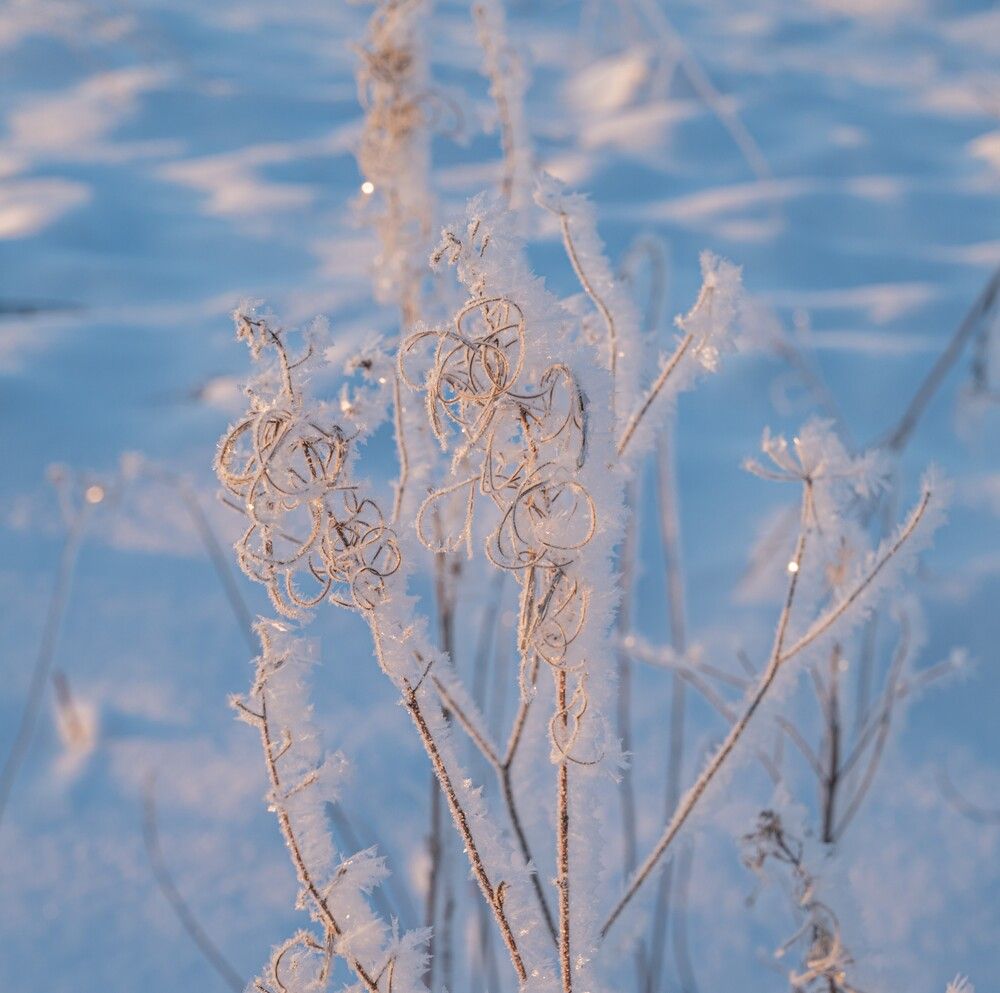 Photograph by Анна Архангельская