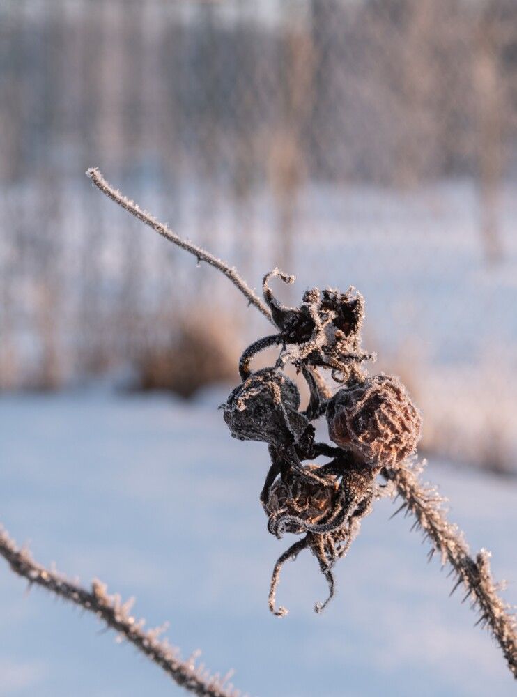 Photograph by Анна Архангельская