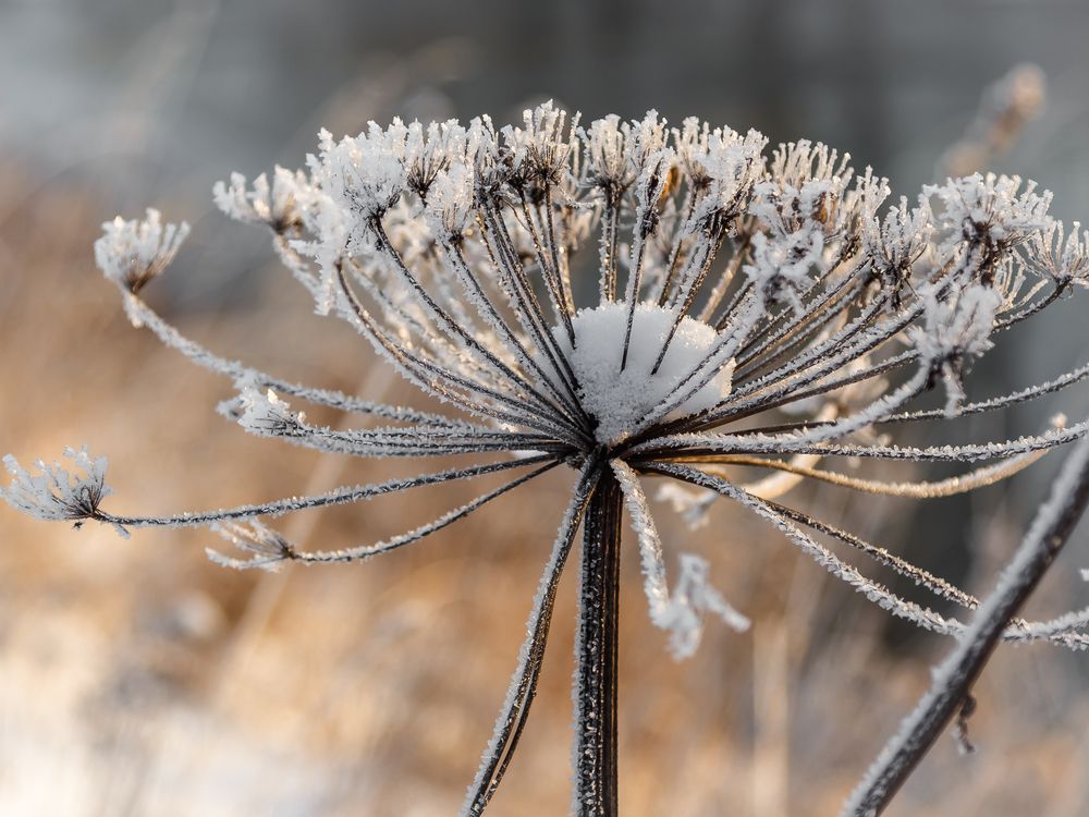 Photograph by Наталья Колеватова