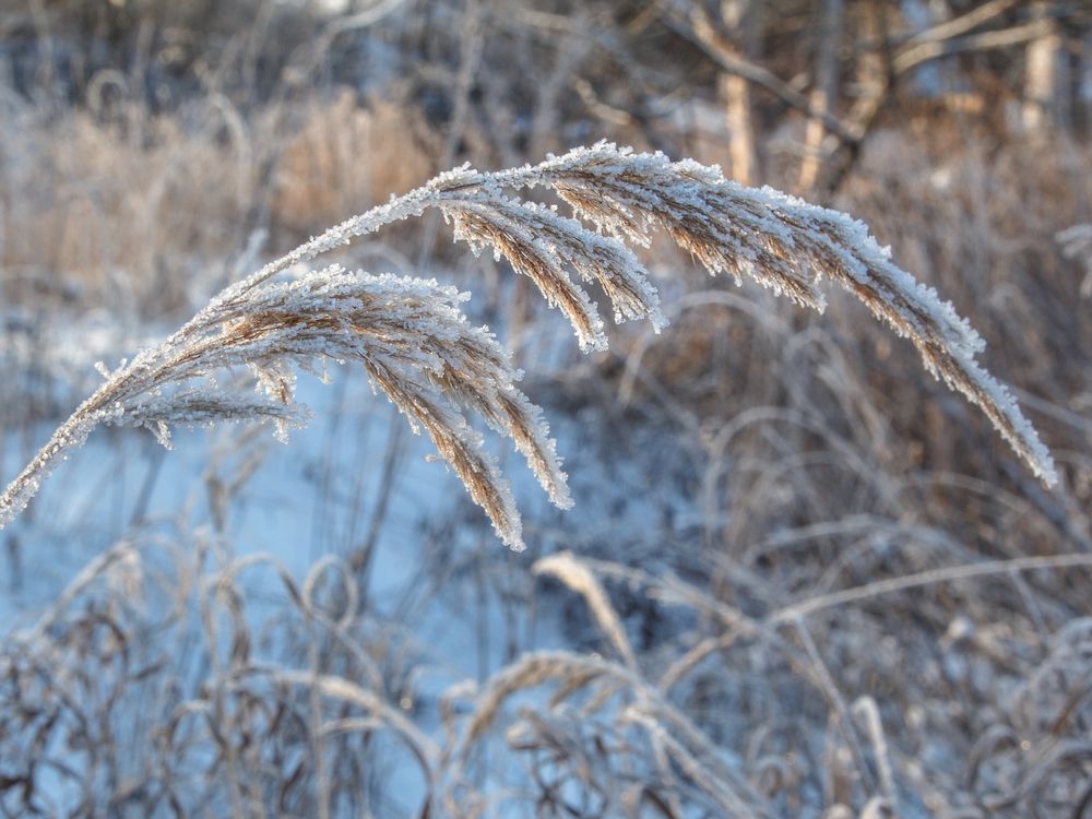 Photograph by Наталья Колеватова