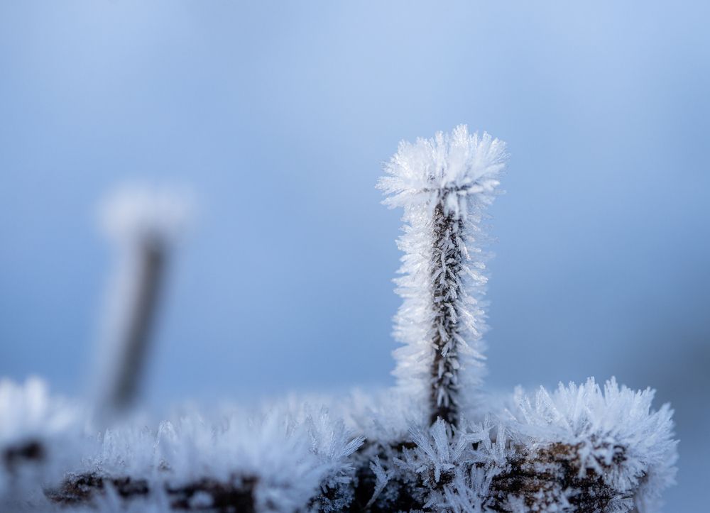 Фотография автора Uljana Kuchar