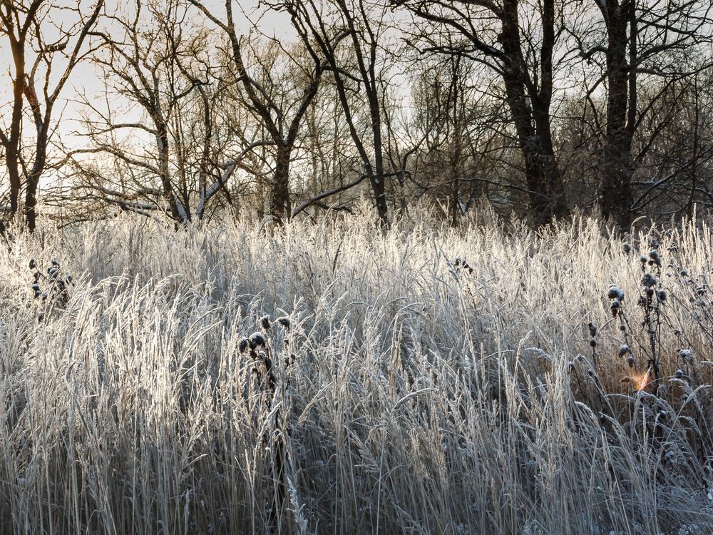 Photograph by Наталья Колеватова