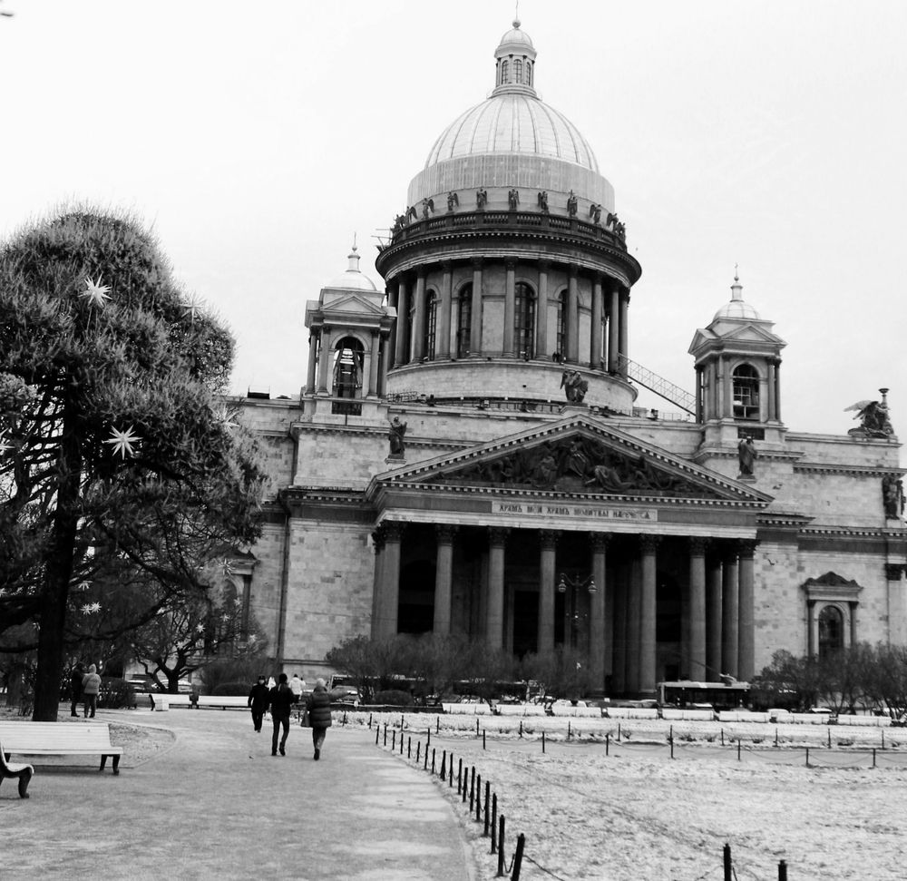 Фотография автора Юлия Чешко