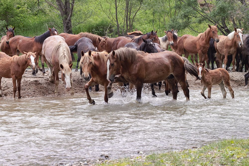 Фотография автора Ирина Яук