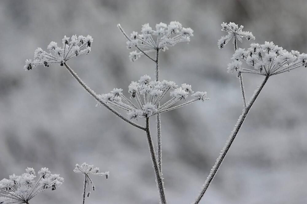 Photograph by Евгений Беленков