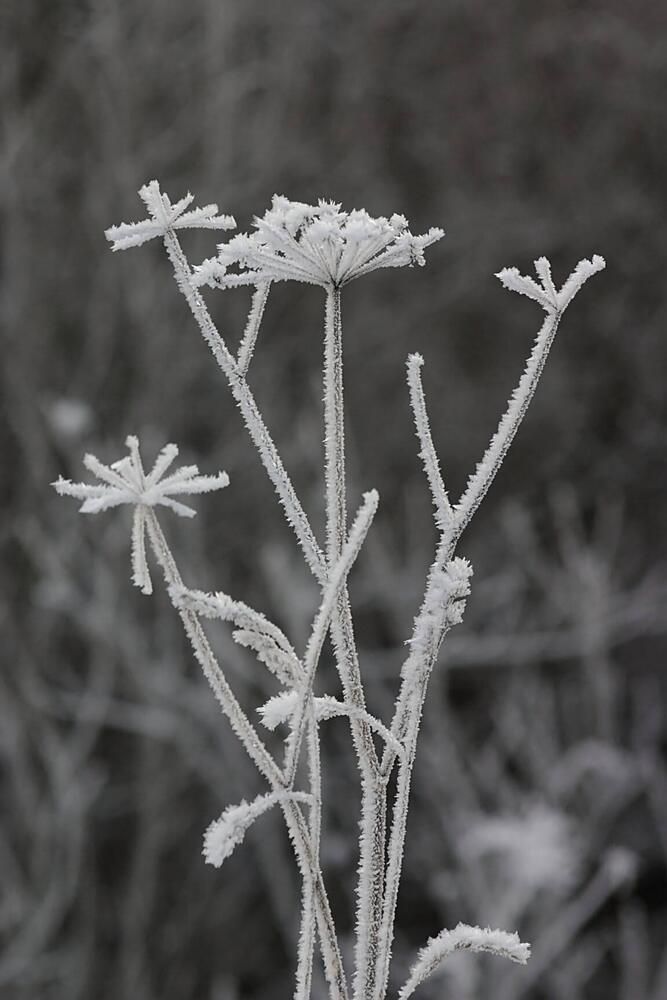 Photograph by Евгений Беленков