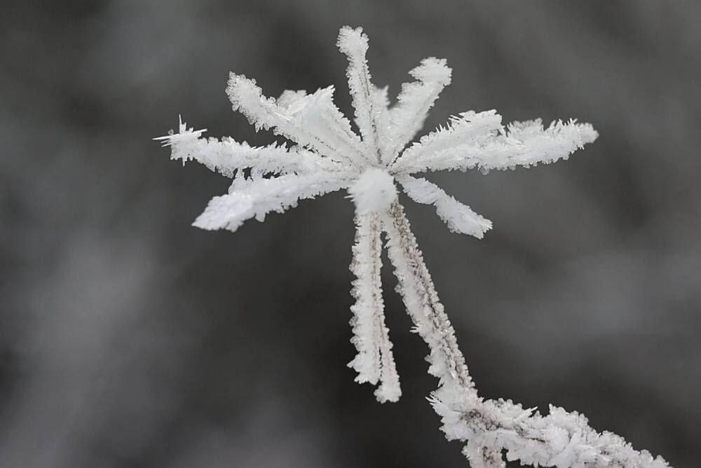 Photograph by Евгений Беленков