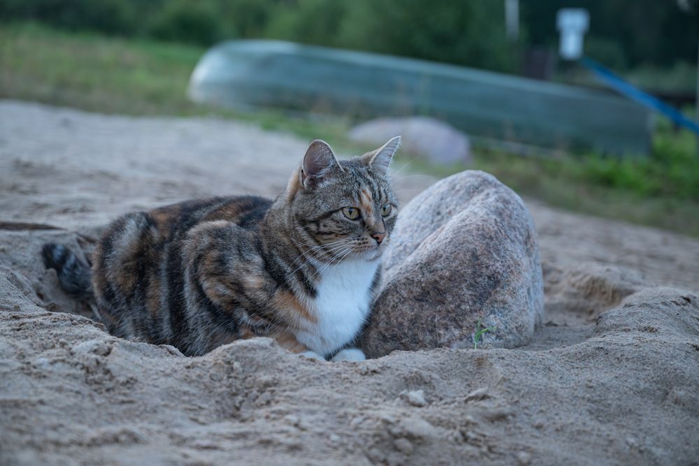 Photograph by Анна Архангельская