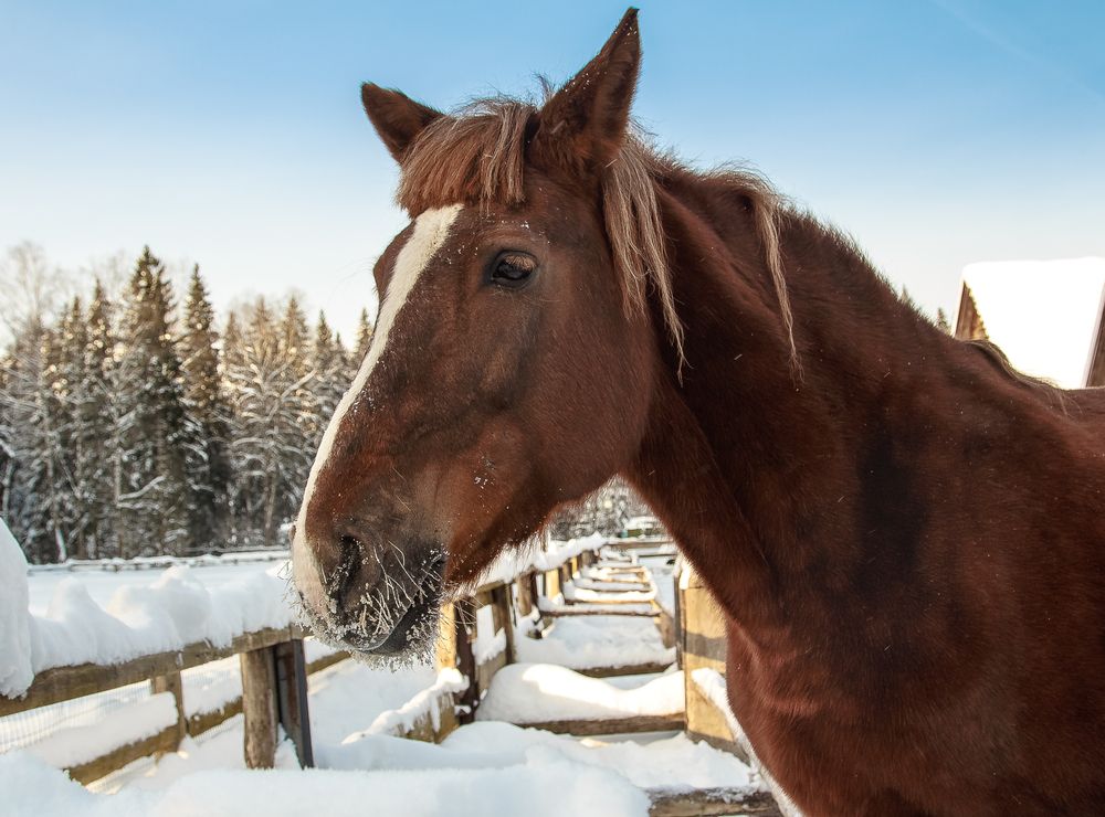 Photograph by Наталья Колеватова