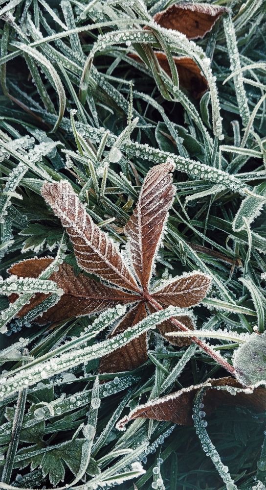 Фотография автора Valerya Vasileva