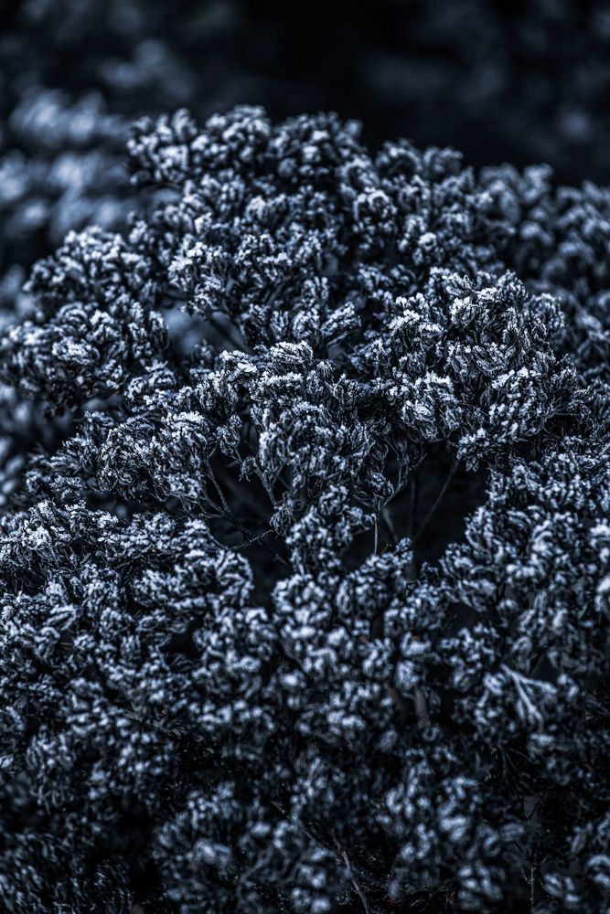 Photograph by Алексей Шевцов