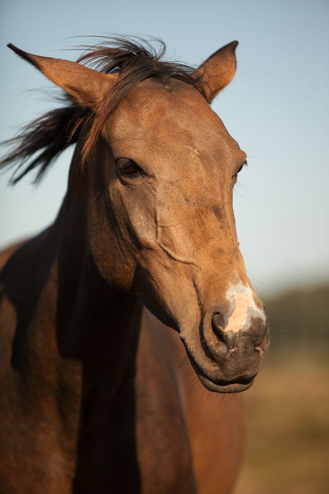 Photograph by Лолита Богачева