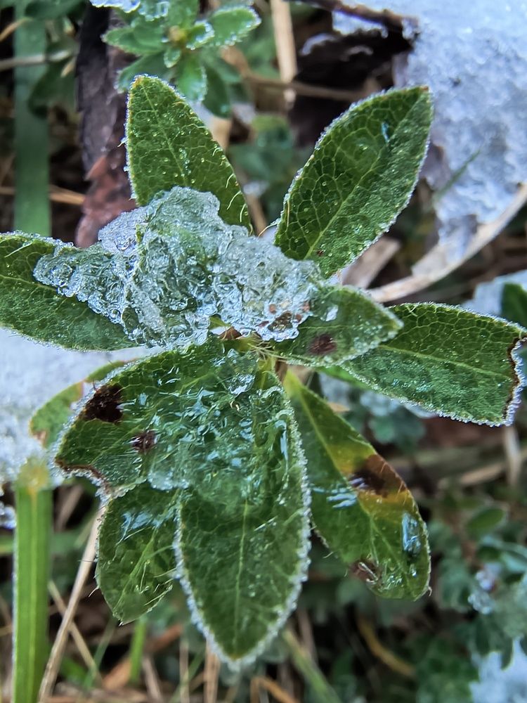 Photograph by María Laura Giorda