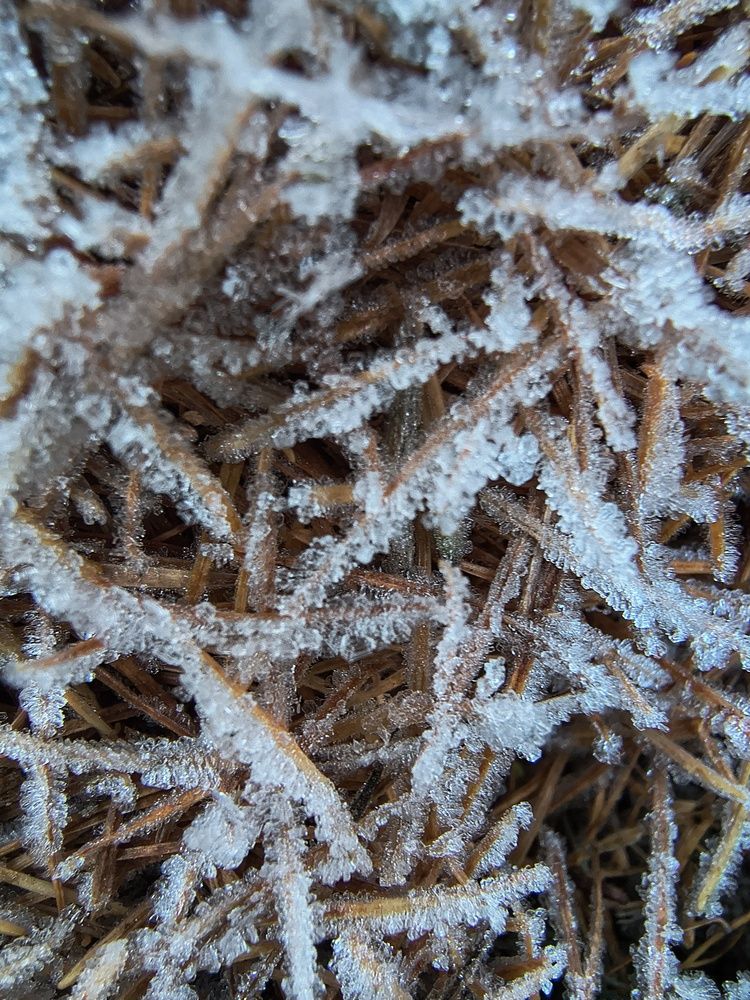 Photograph by María Laura Giorda