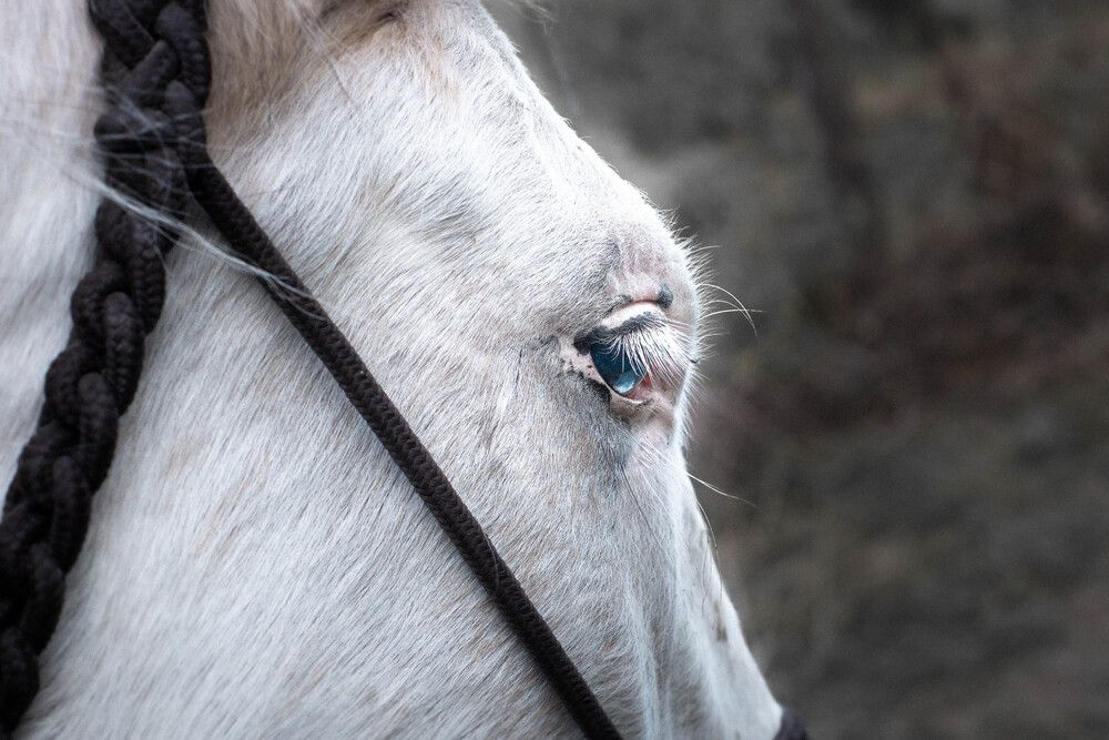 Photograph by María Laura Giorda