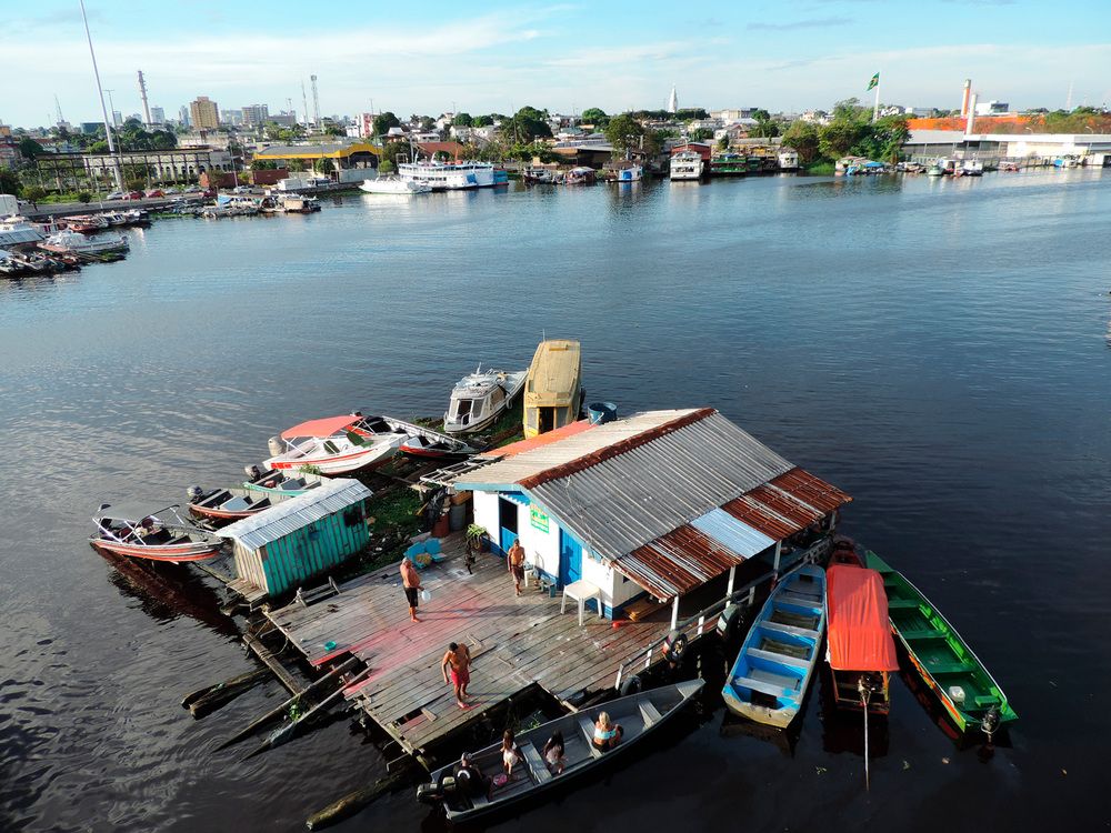 Amazon - Rio Negro 2
