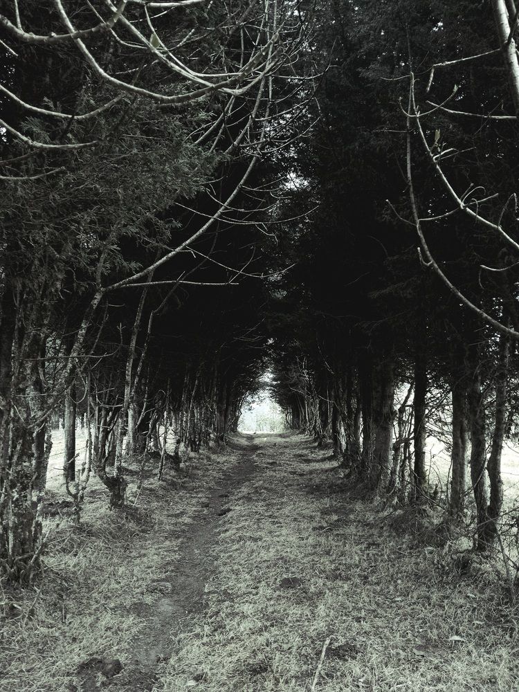 Photograph by Jefferson Simbaña