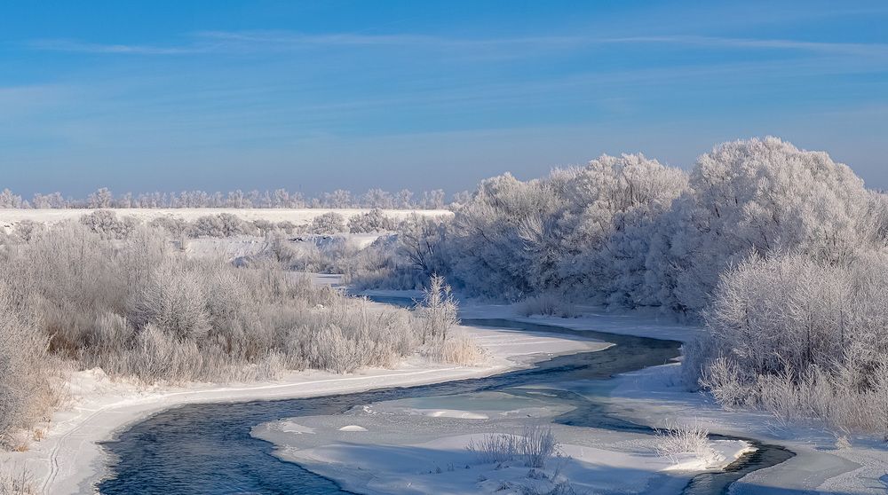 Фотография автора Николай Бологов