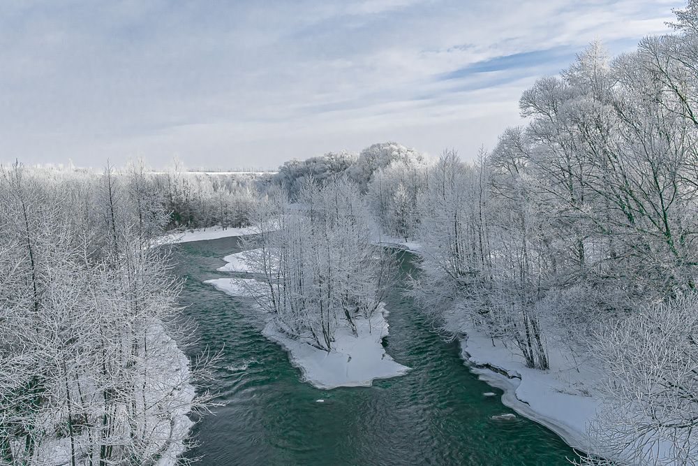 Фотография автора Николай Бологов