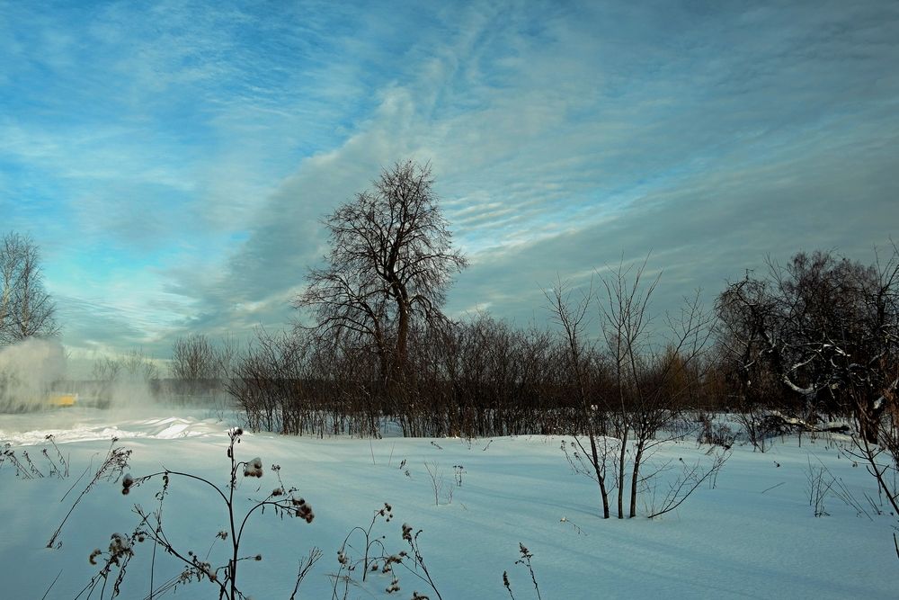 Photograph by Михаил Косолапов