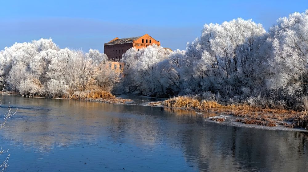 Фотография автора Николай Бологов