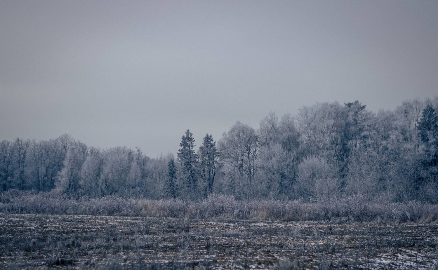 Фотография #13017451