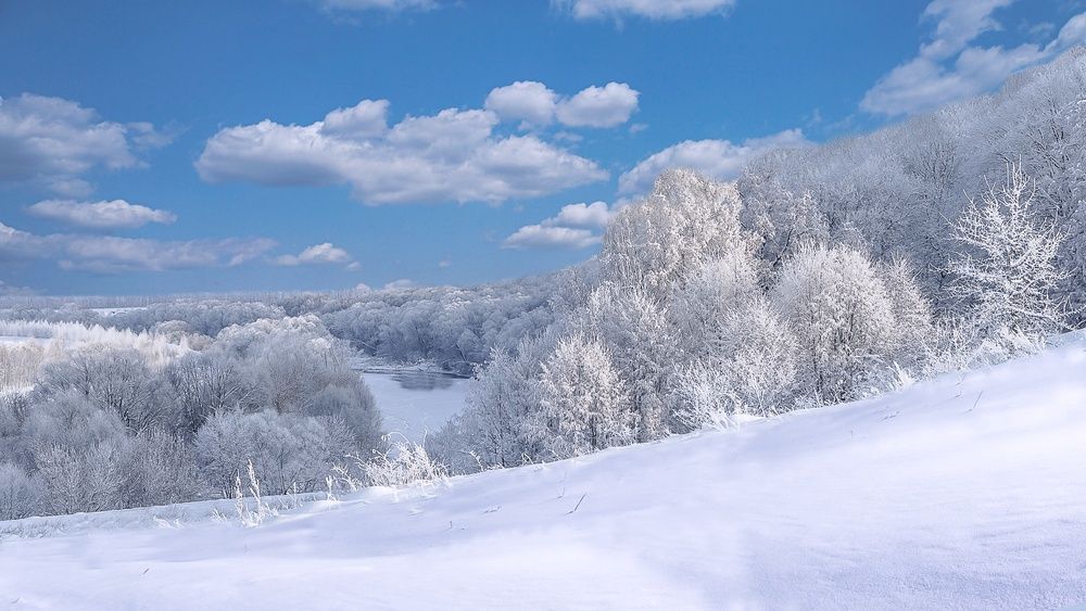 Фотография автора Николай Бологов