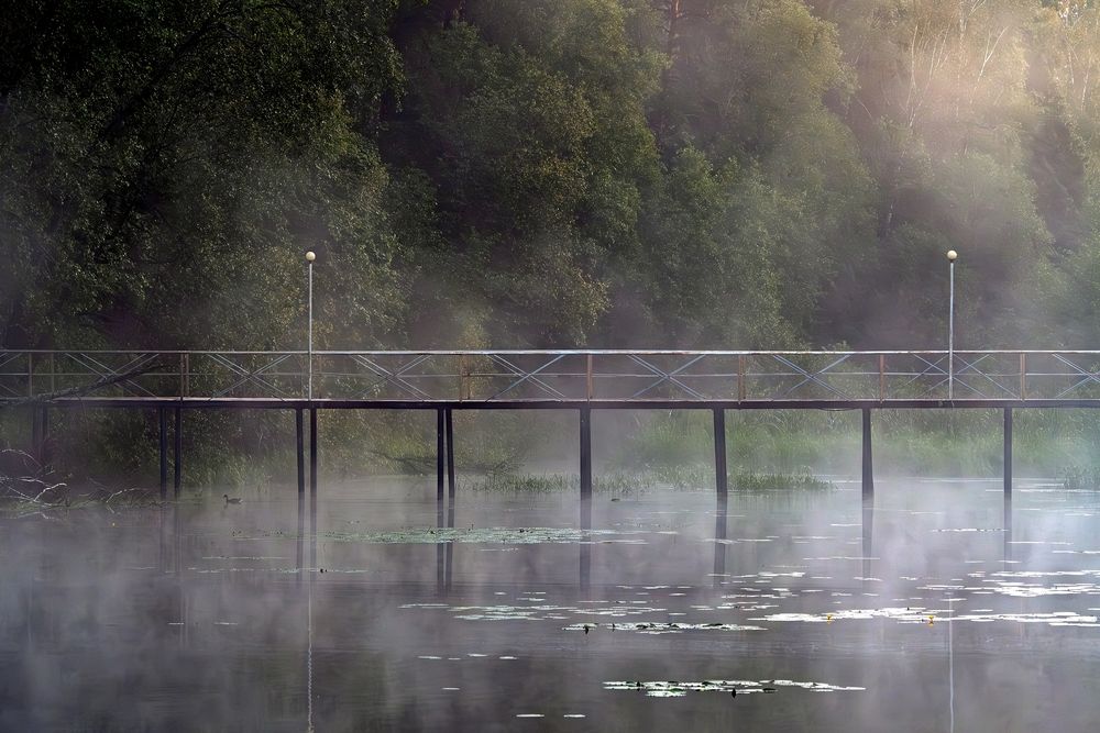 Photograph by Михаил Косолапов