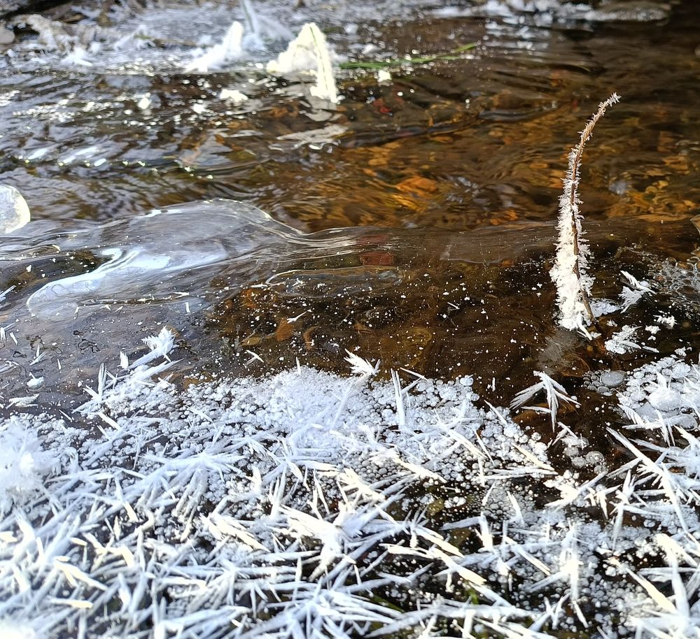 Photo #13017477