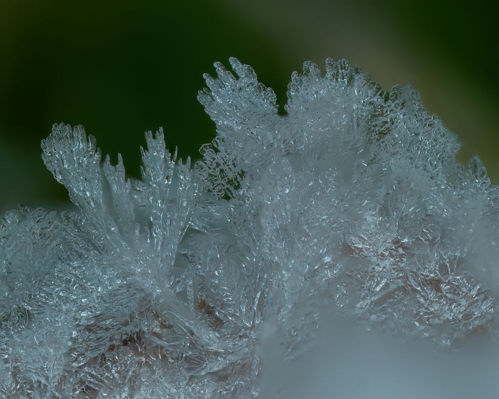 Фотография автора Craig Loechel