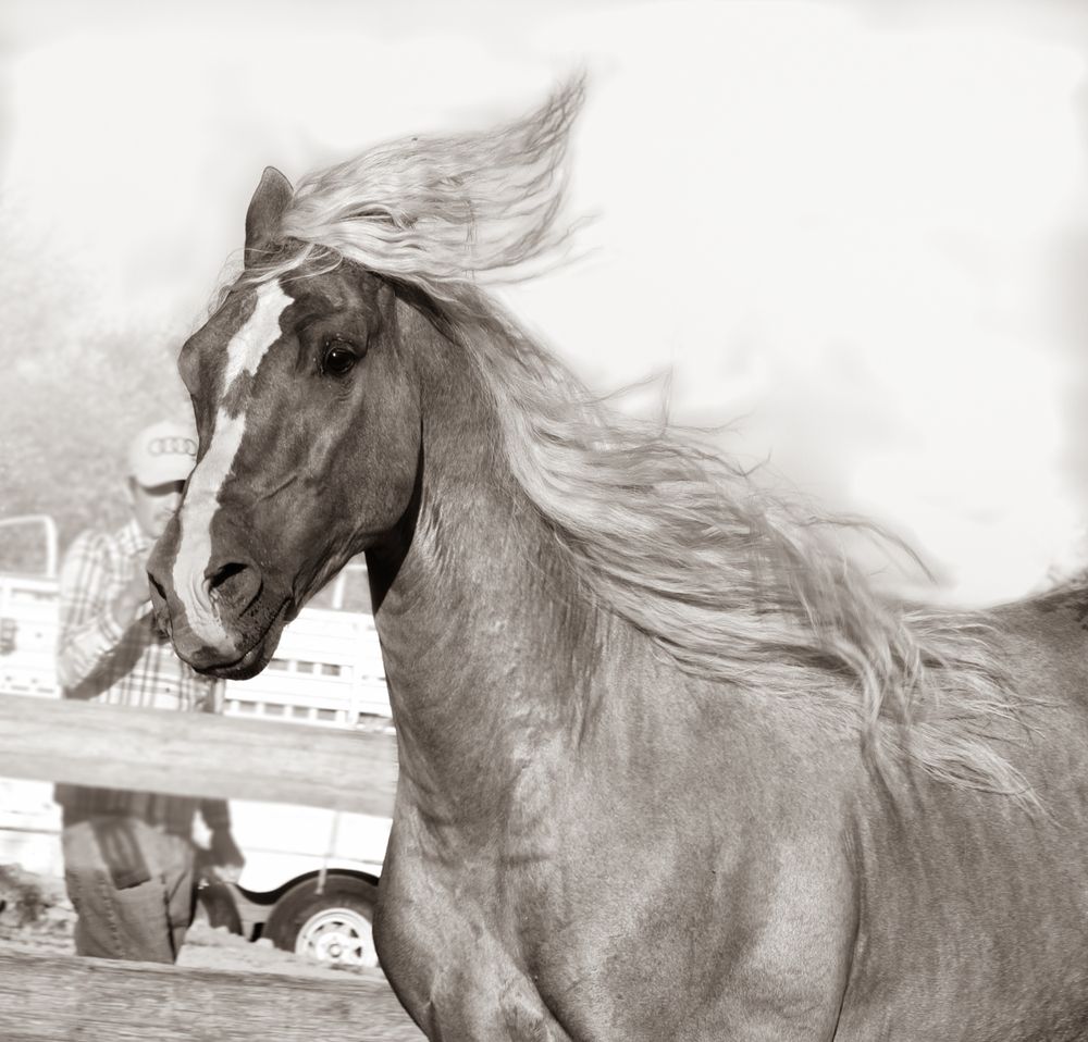 Photograph by Gabriela Bonilla