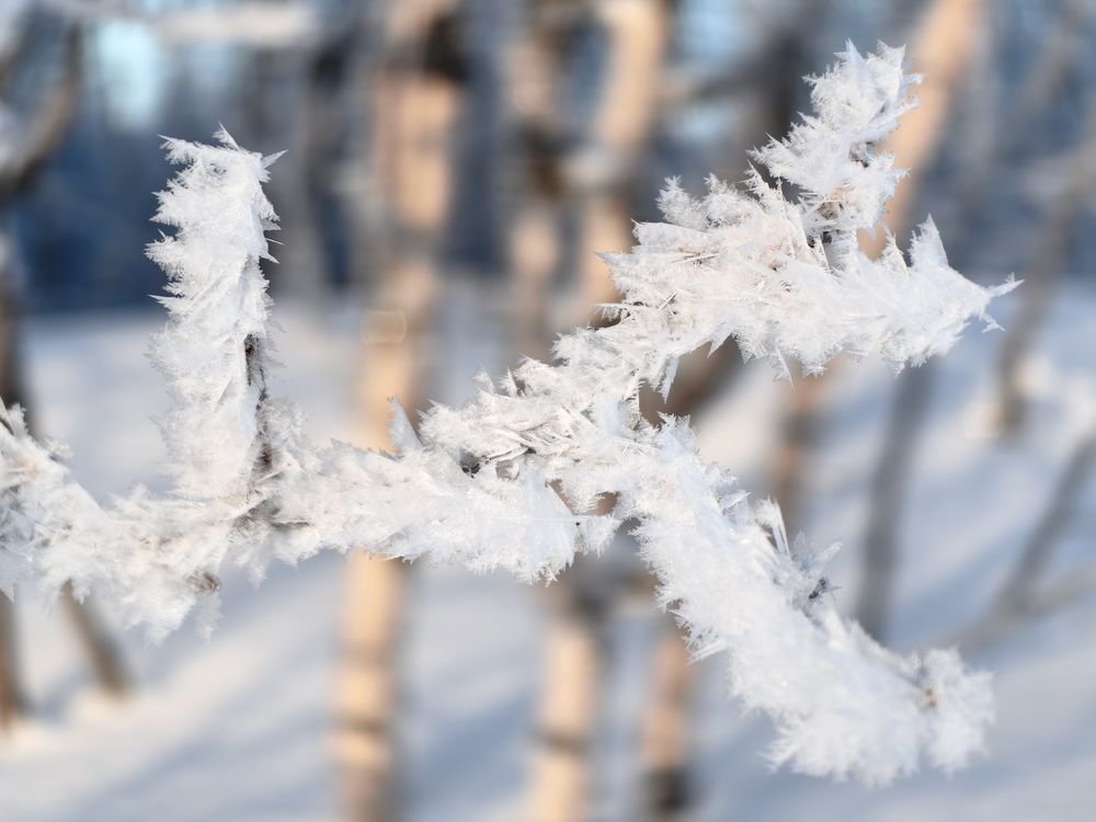 Фотография автора Sparc-jr